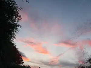 Annelies 08 Flamingowolken